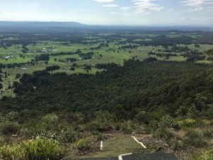 Site photo
